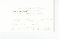 燈臺樹藏品圖，第2張