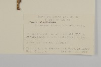 衛矛藏品圖，第2張