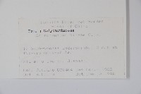 山腊梅藏品圖，第2張