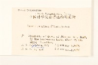 禾葉兔仔菜藏品圖，第2張