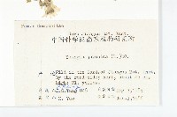 黃鵪菜藏品圖，第2張