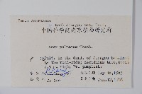 雞爪槭藏品圖，第2張