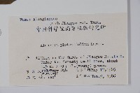 八角楓、瓜木藏品圖，第2張