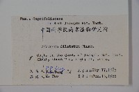 莢迷藏品圖，第2張