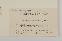 牛繁縷藏品圖，第2張