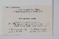 華北茶條槭藏品圖，第2張