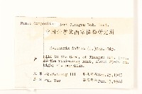 雞兒腸藏品圖，第2張