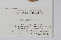 青葙藏品圖，第2張