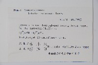 半邊蓮、鐮磨仔草藏品圖，第2張