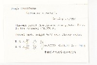 碎米薺藏品圖，第2張