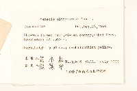 蒲兒根藏品圖，第2張