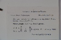 莢迷藏品圖，第2張