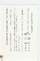 王瓜藏品圖，第2張