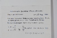 九頭獅子草藏品圖，第2張