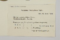 黃瓢子藏品圖，第2張