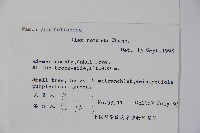 鐵冬青藏品圖，第2張