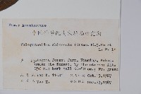 杜根藤藏品圖，第2張