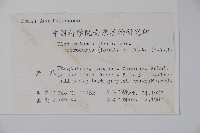 細果鐵冬青藏品圖，第2張