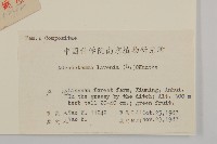 下田菊藏品圖，第2張