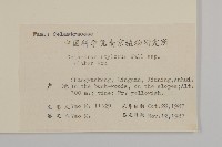 莖花南蛇藤藏品圖，第2張