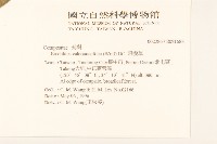 飛機草藏品圖，第2張