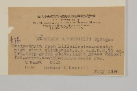 無柄衛矛藏品圖，第2張