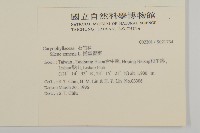 捕蟲瞿麥藏品圖，第2張