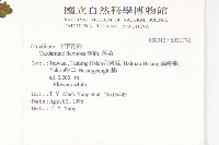 焊菜藏品圖，第2張