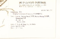 臺灣款冬藏品圖，第2張