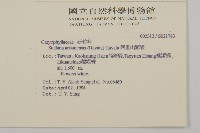 阿里山繁縷藏品圖，第2張