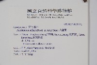 小錦蘭藏品圖，第2張