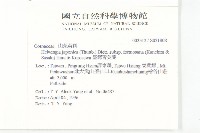 臺灣青莢葉藏品圖，第2張