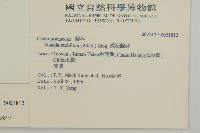 裸花鹼蓬藏品圖，第2張