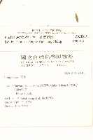 光梗闊苞菊藏品圖，第2張