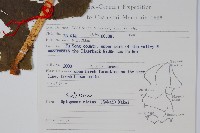 刺參藏品圖，第2張