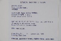 臺灣糊樗藏品圖，第2張