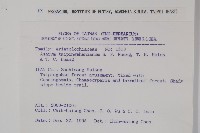 太平山細辛藏品圖，第2張