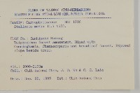 繁縷藏品圖，第2張