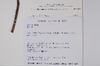 破布烏藏品圖，第2張