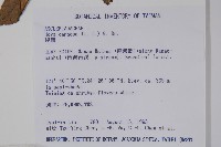 毬蘭藏品圖，第2張