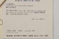 珍珠蒿、奇蒿藏品圖，第2張