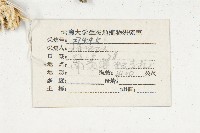 細葉萊菔藏品圖，第2張