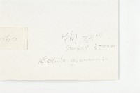 雲南紅景天藏品圖，第2張