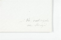 線萼紅景天藏品圖，第3張