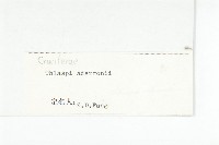 西藏菥蓂藏品圖，第3張