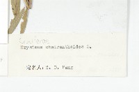 登錄號:S021970藏品圖，第3張