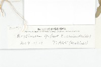 登錄號:S021970藏品圖，第4張