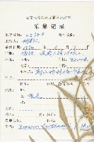 窄翅南芥藏品圖，第2張