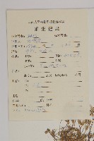 真齒無心菜藏品圖，第2張