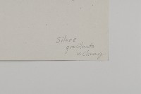 纖細繩子草藏品圖，第3張